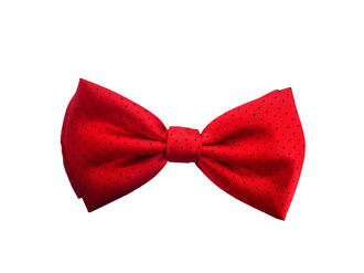 Red with navy spot Pre-tied Bow