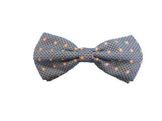 Blue and peach pattern Pre-tied Bow