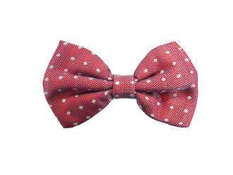 Red with white spot silk Pre-tied Bow