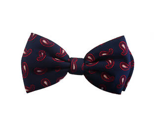 Navy with red paisley Pre-tied Bow