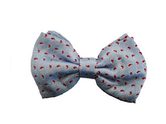 Light blue with red paisley silk Pre-tied Bow