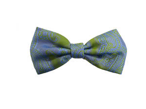 Blue green paisley Pre-tied Bow