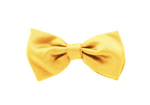 Gold Jacquard Pre-tied Bow