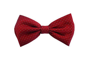 Rich red and pale blue spot Pre-tied Bow