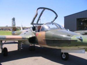 A37_Dragonfly.JPG