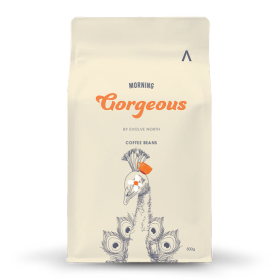 Morning Gorgeous Whole Roast Coffee - 500gm Retail Bag
