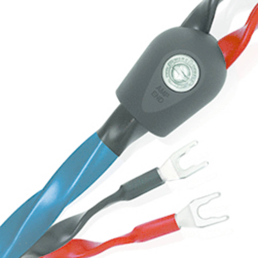 Oasis Speaker Cable