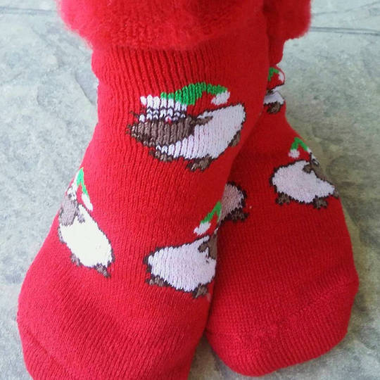 New Zealand Christmas Socks - Sheep
