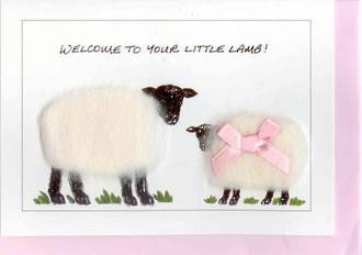 Welcome To Your Little Lamb Gift Card - Girl