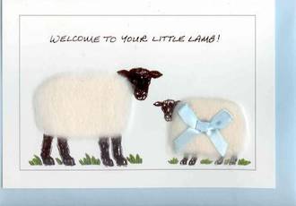 Welcome To Your Little Lamb Gift Card - Boy