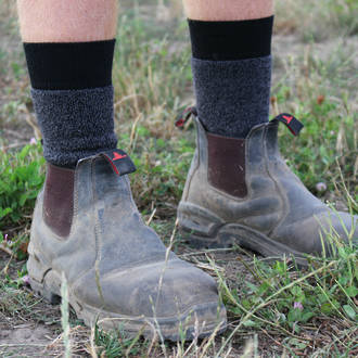 Tramping / Work Merino Wool Socks