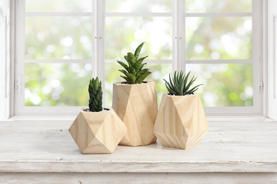 GEOMETRIC PLANTERS   SOLD OUT