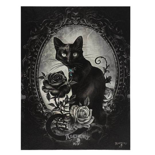 Small The Philosopher’s Familiar Cat Canvas by Alchemy