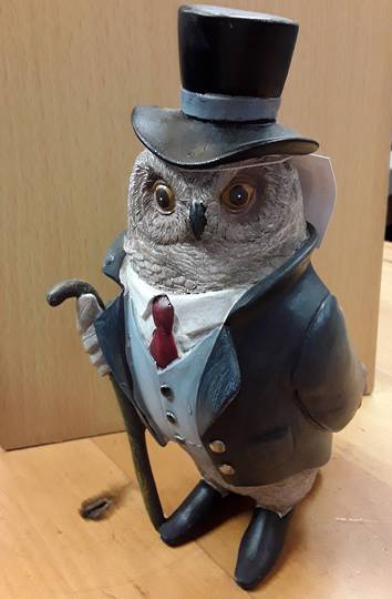 Gentleman Owl