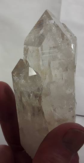 Milky Lemurian Cluster ML11