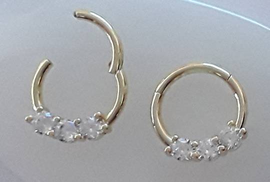 16g Multi Jewelled Gold Surgical Steel Hinged Segment Ring 8mm
