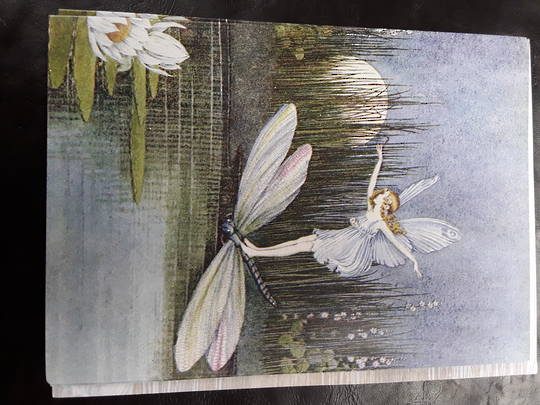 Fairy and Dragonfly Tree Free Card