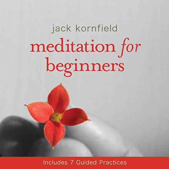 Meditation for Beginners by  Jack Kornfield was $40 now $10