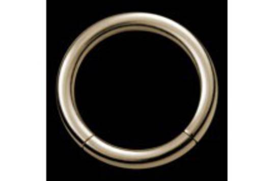 Zircon gold Smooth segment ring 2