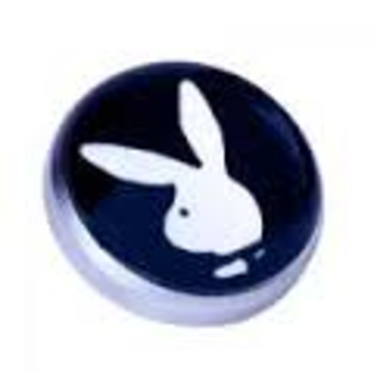 Playboy Bunny Mircodermal top
