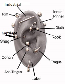 ear ear