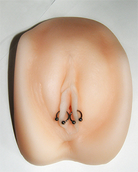inner-labia inner-labia