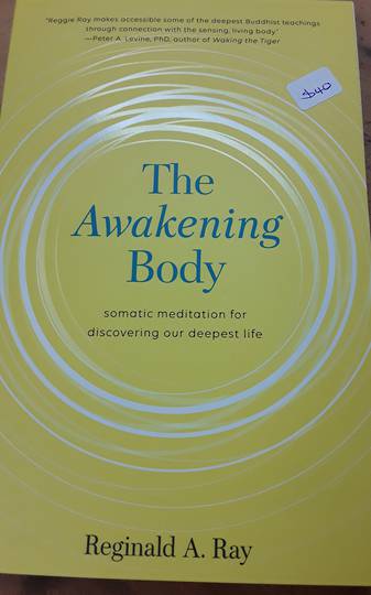 The Awakening Body: Somatic Meditation for Discovering Our Deepest Life image 0