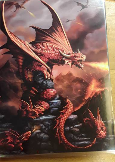 Fire Breathing Dragons Gift Card image 0