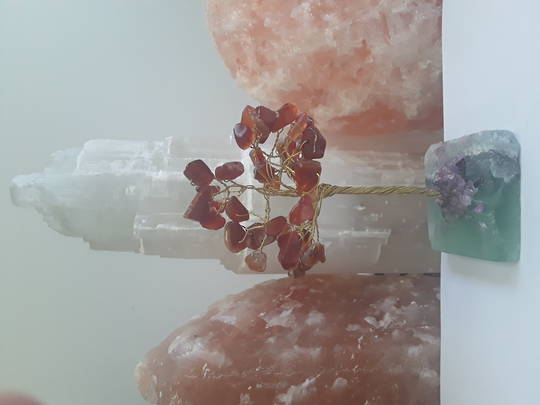 Carnelian Crystal Tree on Fluorite Base 15cms image 0