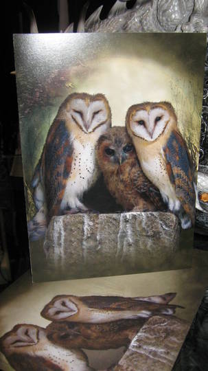 Owl Trio Card and matching envelope image 0