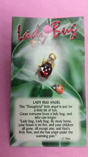 Lady Bug Angel Brooch image 0