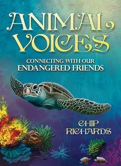 Animal Voices Oracle Cards By Chip Richards image 0