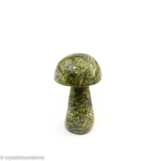 Serpentine Mushroom