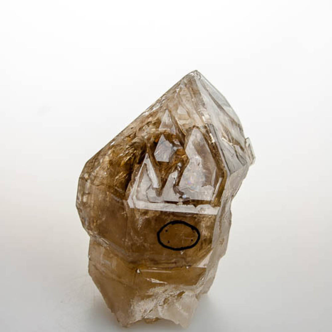 Natural Citrine Elestial Quartz Scepter with Fluid Inclusion (Enhydro)
