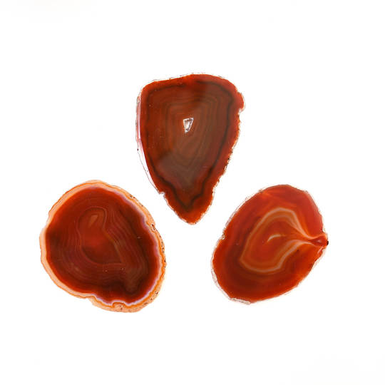 Agate Slice Lot - Red