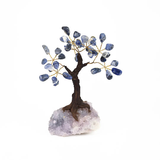 Sodalite Tree with Amethyst Base