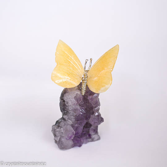 Calcite Butterfly
