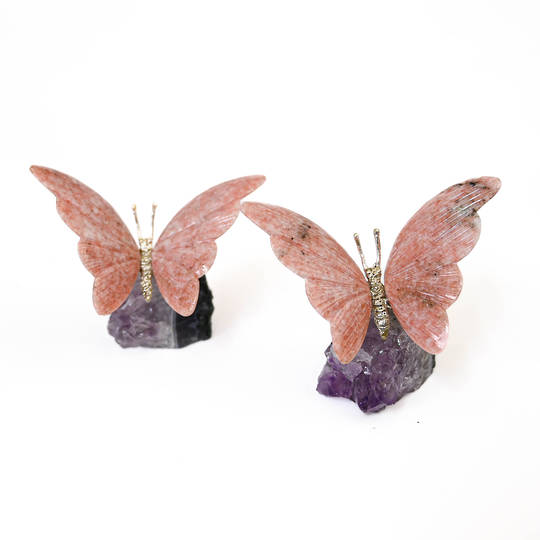 Dolomite Butterfly