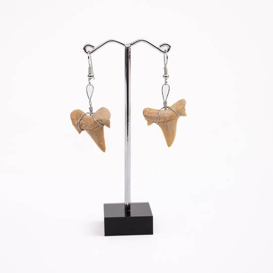 Shark Tooth Earrings