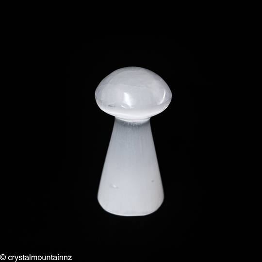 Polished Selenite Mushroom image 0