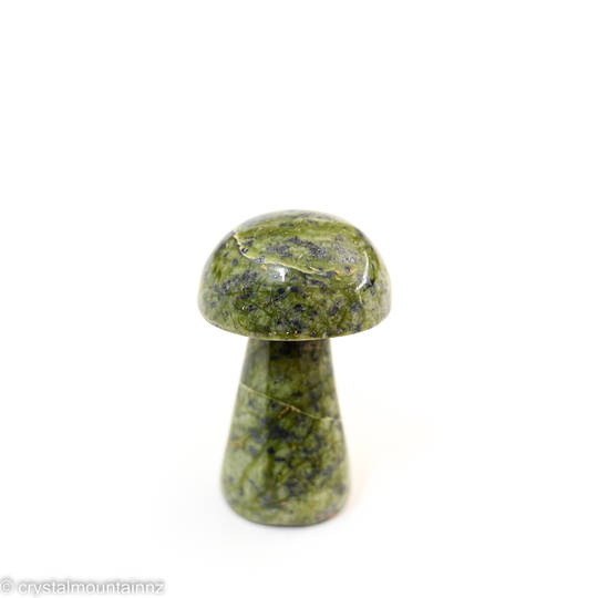 Serpentine Mushroom image 0