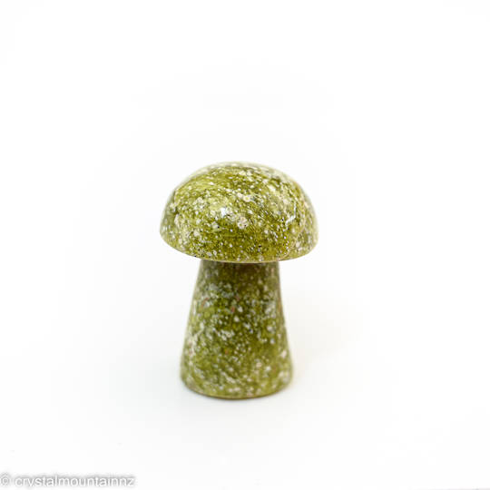Serpentine Mushroom image 1