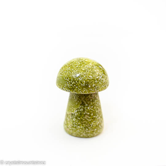 Serpentine Mushroom image 0