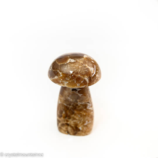 Chocolate Calcite Mushroom image 1