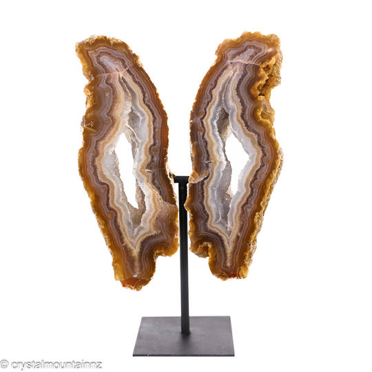 Agate Butterfly image 0