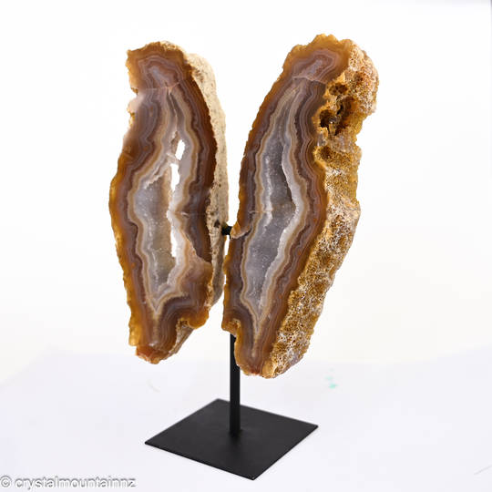 Agate Butterfly image 1