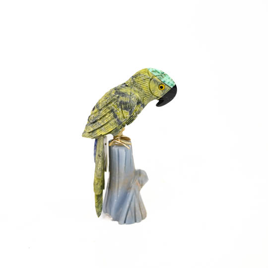 Serpentine parrot image 0