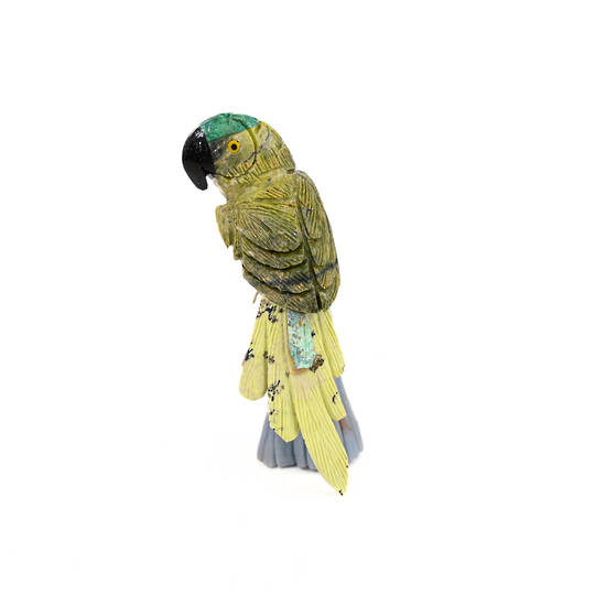 Serpentine parrot image 0