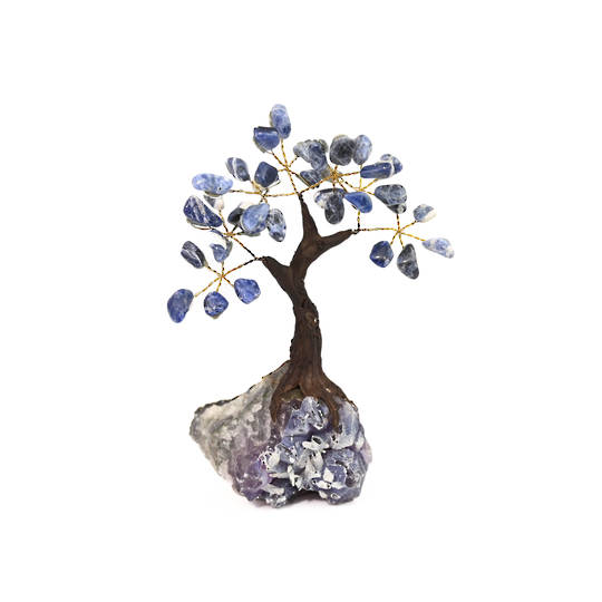 Sodalite Tree with Amethyst Base image 1