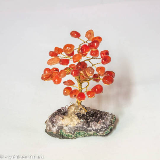 Carnelian Tree with Amethyst Base image 0